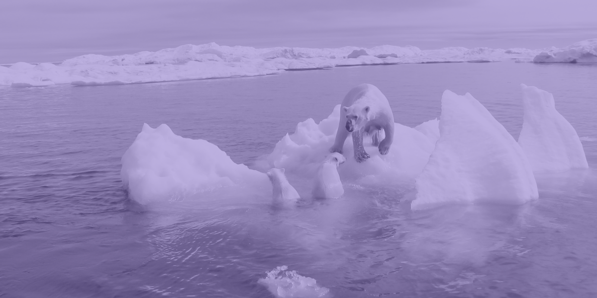 Internasjonal undersøkelse: Folk flest er bekymret over klimaendringene...