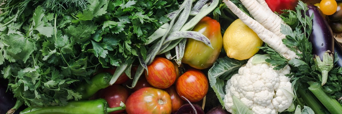 Nordics food and health report 2024